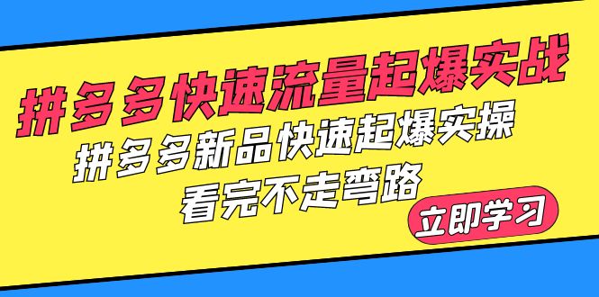 （6253期）拼多多-快速流量起爆实战，拼多多新品快速起爆实操，看完不走弯路-副业心选
