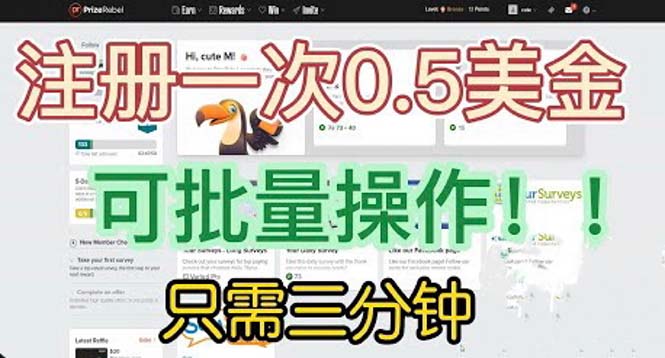 （6285期）国外项目注册一次0.5美金 只需三分钟无脑操作 可批量放大 小白工作室福利 - 副业心选-副业心选