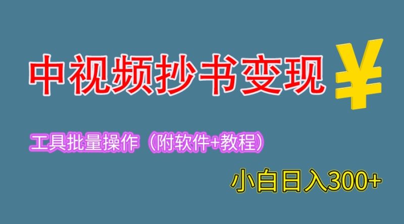 （6246期）2023中视频抄书变现（附工具+教程），一天300+，特别适合新手操作的副业-副业心选