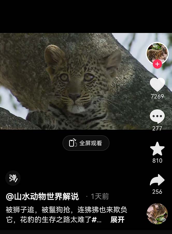 图片[3]-（6312期）外面卖1699的国外纪录片解说（动物解说、美食、动画片）稳过中视频 - 副业心选-副业心选