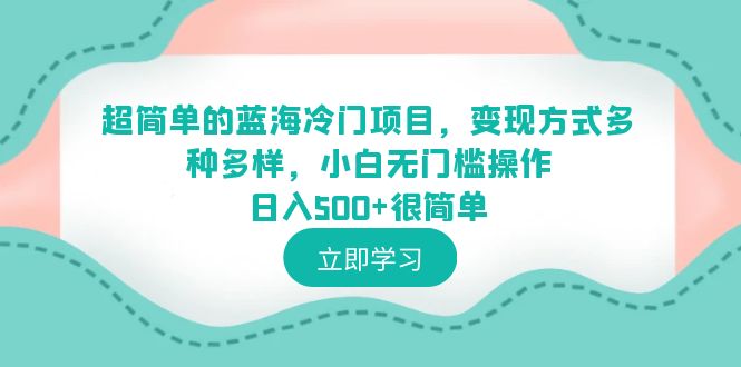 （6422期）超简单的蓝海冷门项目，变现方式多种多样，小白无门槛操作日入500+很简单 - 副业心选-副业心选