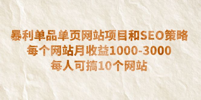 （6503期）暴利单品单页网站项目和SEO策略  每个网站月收益1000-3000  每人可搞10个-副业心选