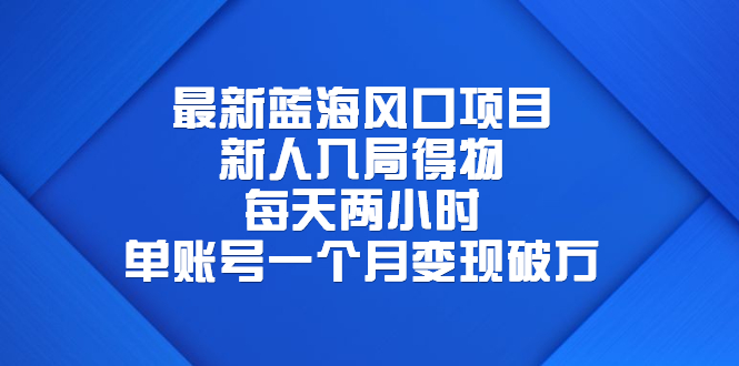 （6514期）最新蓝海风口项目，新人入局得物，每天两小时，单账号一个月变现破万-副业心选