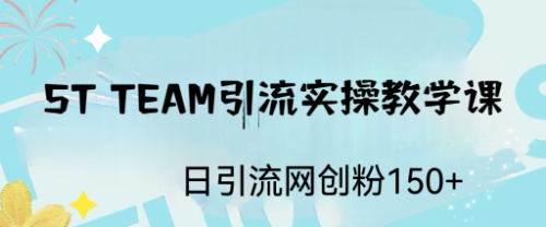 （6578期）ST TEAM引流实操课，日引流网创粉100+ - 副业心选-副业心选