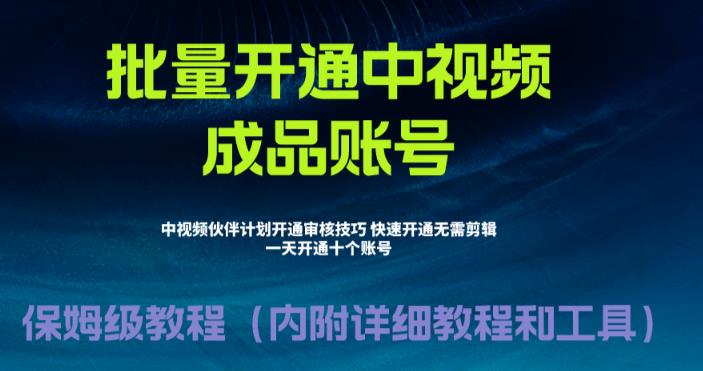 （6561期）外面收费1980暴力开通中视频计划教程，附 快速通过中视频伙伴计划的办法 - 副业心选-副业心选