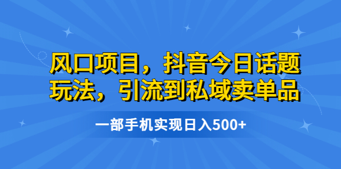 （6588期）风口项目，抖音今日话题玩法，引流到私域卖单品，一部手机实现日入500+ - 副业心选-副业心选