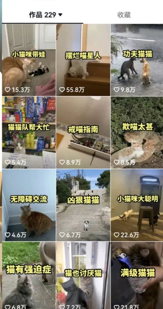 图片[3]-（6568期）拆解：抖音盘点类中视频变现副业项目，视频版一条龙大解析分享给你 - 副业心选-副业心选