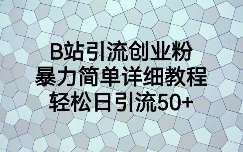 （6639期）B站引流创业粉，暴力简单详细教程，轻松日引流50+-副业心选