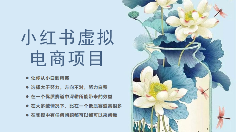 （6607期）小红书虚拟电商从0到1，让你从小白到精英（20节实操课程）-副业心选