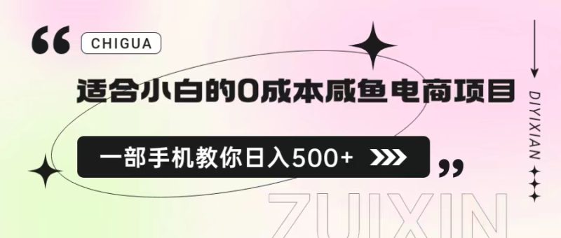 （6652期）适合小白的0成本咸鱼电商项目，一部手机，教你如何日入500+的保姆级教程-副业心选
