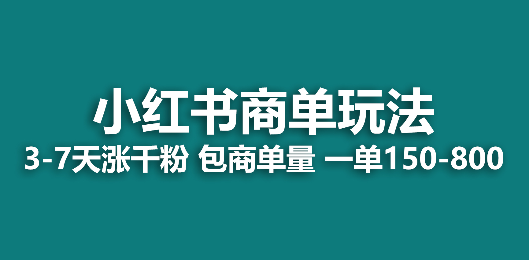 （6698期）小红书商单玩法，一周破千粉，商单接到手软，一单150-800 - 副业心选-副业心选
