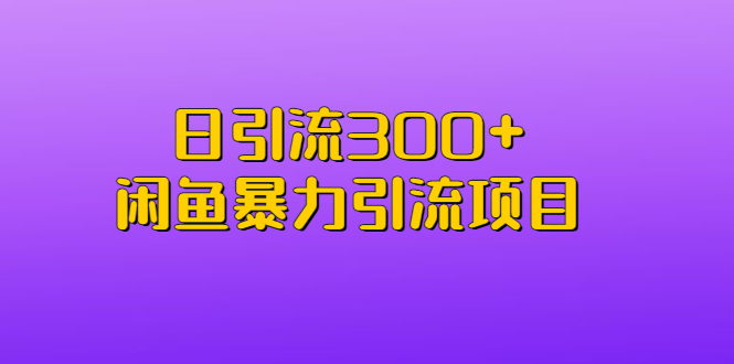 （6694期）日引流300+闲鱼暴力引流项目 - 副业心选-副业心选
