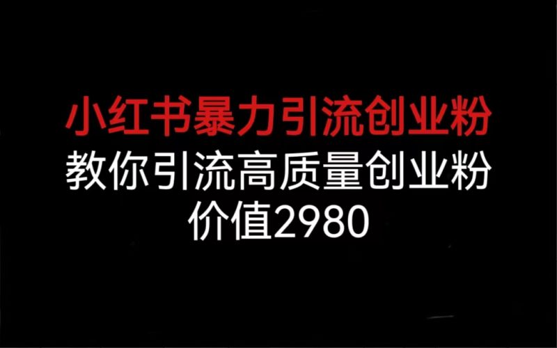（6779期）小红书暴力引流创业粉，教你引流高质量创业粉，价值2980-副业心选