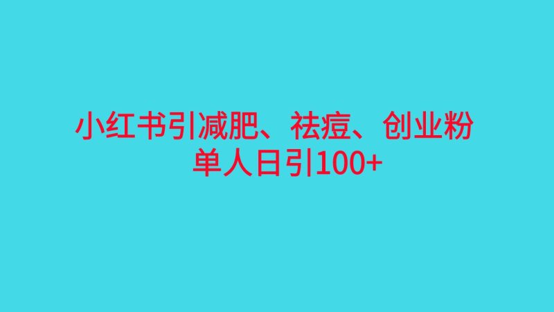 （6799期）小红书精准引流，减肥、祛痘、创业粉单人日引100+（附软件）-副业心选