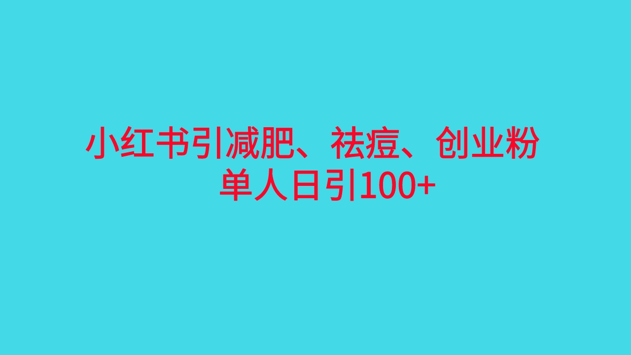 （6799期）小红书精准引流，减肥、祛痘、创业粉单人日引100+（附软件） - 副业心选-副业心选