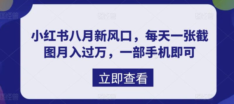 （6851期）八月新风口，小红书虚拟项目一天收入1000+，实战揭秘-副业心选