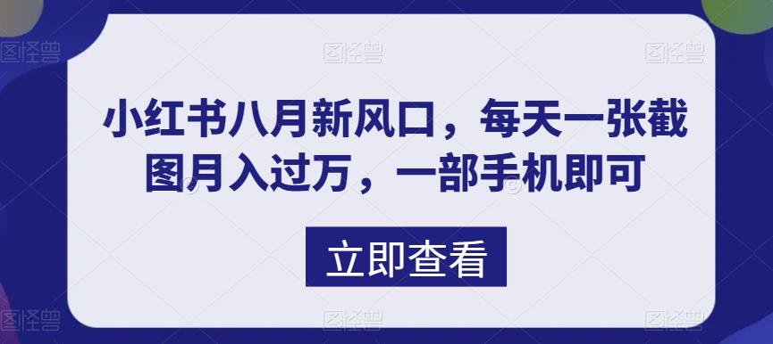 （6851期）八月新风口，小红书虚拟项目一天收入1000+，实战揭秘 - 副业心选-副业心选