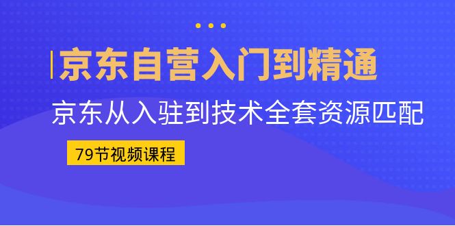 （6901期）京东自营入门到精通：京东从入驻到技术全套资源匹配（79节课）-副业心选