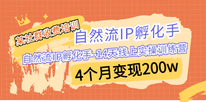 （6924期）某社群收费培训：自然流IP 孵化手-14天线上实操训练营 4个月变现200w - 副业心选-副业心选