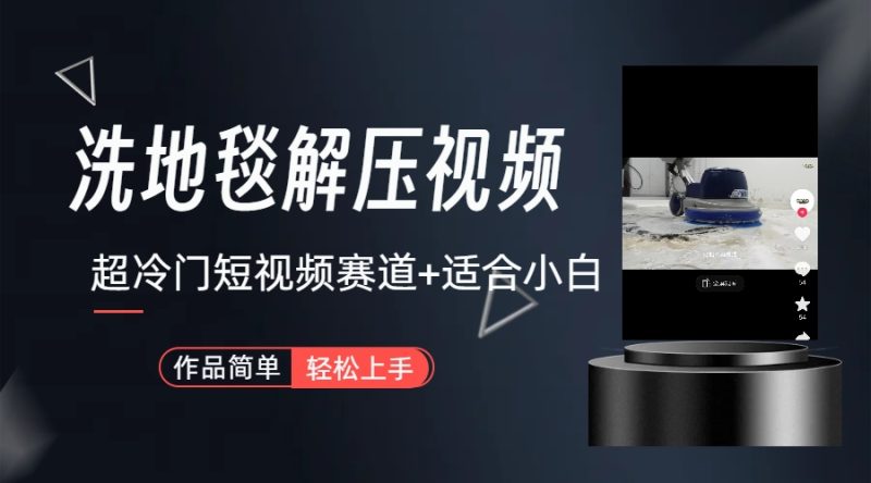 （6938期）超冷门抖音短视频赛道-清洗地毯解压视频-简单无脑怼作品（教程+素材）-副业心选
