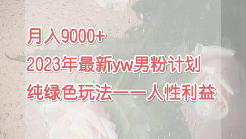 （7111期）月入9000+2023年9月最新yw男粉计划绿色玩法——人性之利益-副业心选