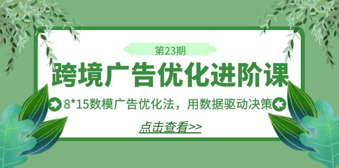 （7131期）跨境广告·优化进阶课·第23期，8*15数模广告优化法，用数据驱动决策 - 副业心选-副业心选