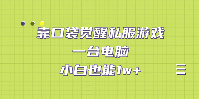 （7113期）靠口袋觉醒私服游戏，一台电脑，小白也能1w+（教程+工具+资料）-副业心选
