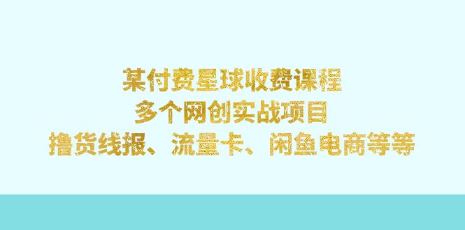 （7199期）某付费星球课程：多个网创实战项目，撸货线报、流量卡、闲鱼电商等等 - 副业心选-副业心选
