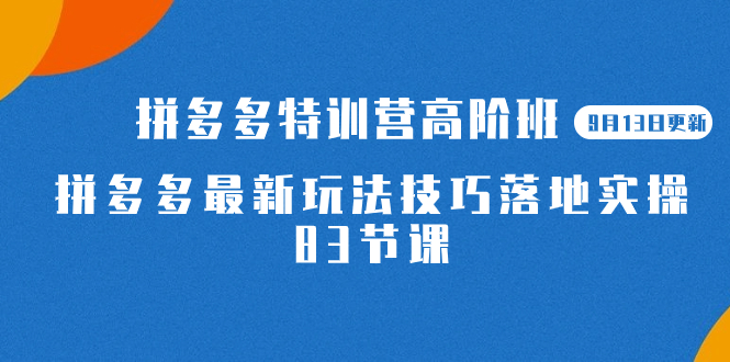 （7295期）2023拼多多·特训营高阶班【9月13日更新】拼多多最新玩法技巧落地实操-83节 - 副业心选-副业心选