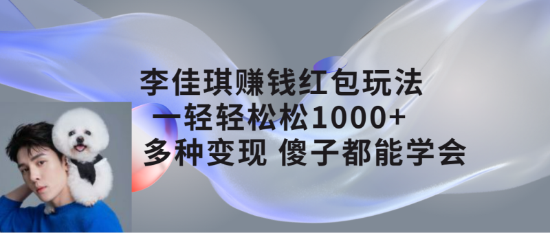 （7383期）李佳琪赚钱红包玩法，一天轻轻松松1000+，多种变现，傻子都能学会-副业心选