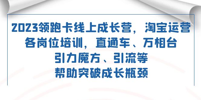 （7462期）2023领跑·卡 线上成长营 淘宝运营各岗位培训 直通车 万相台 引力魔方 引流 - 副业心选-副业心选