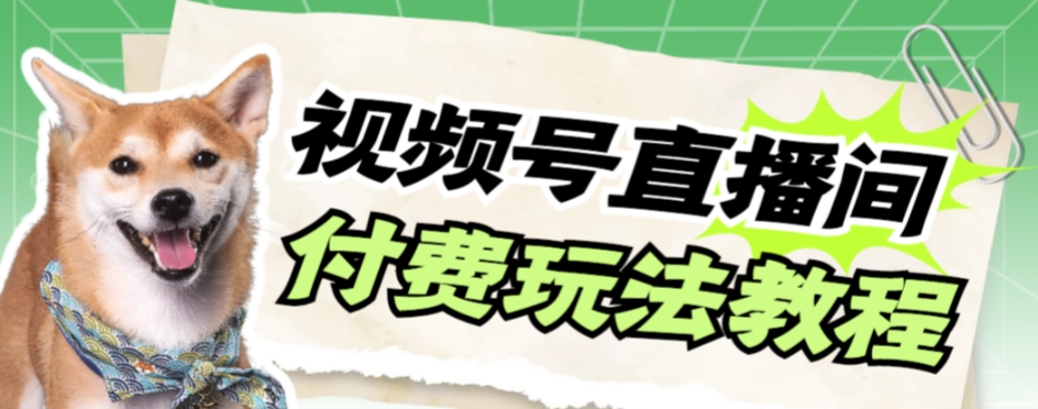 （7660期）视频号美女付费无人直播，轻松日入500+【详细玩法教程】 - 副业心选-副业心选