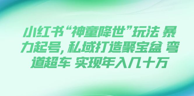 （7673期）小红书“神童降世”玩法 暴力起号,私域打造聚宝盆 弯道超车 实现年入几十万 - 副业心选-副业心选