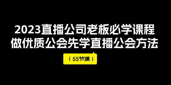（7738期）2023直播公司老板必学课程，做优质公会先学直播公会方法（55节课） - 副业心选-副业心选