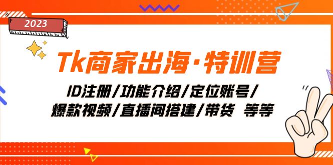 （7974期）Tk商家出海·特训营：ID注册/功能介绍/定位账号/爆款视频/直播间搭建/带货.-副业心选