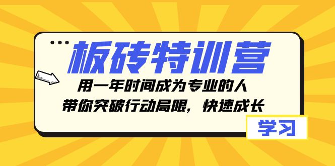 （8048期）板砖特训营，用一年时间成为专业的人，带你突破行动局限，快速成长 - 副业心选-副业心选