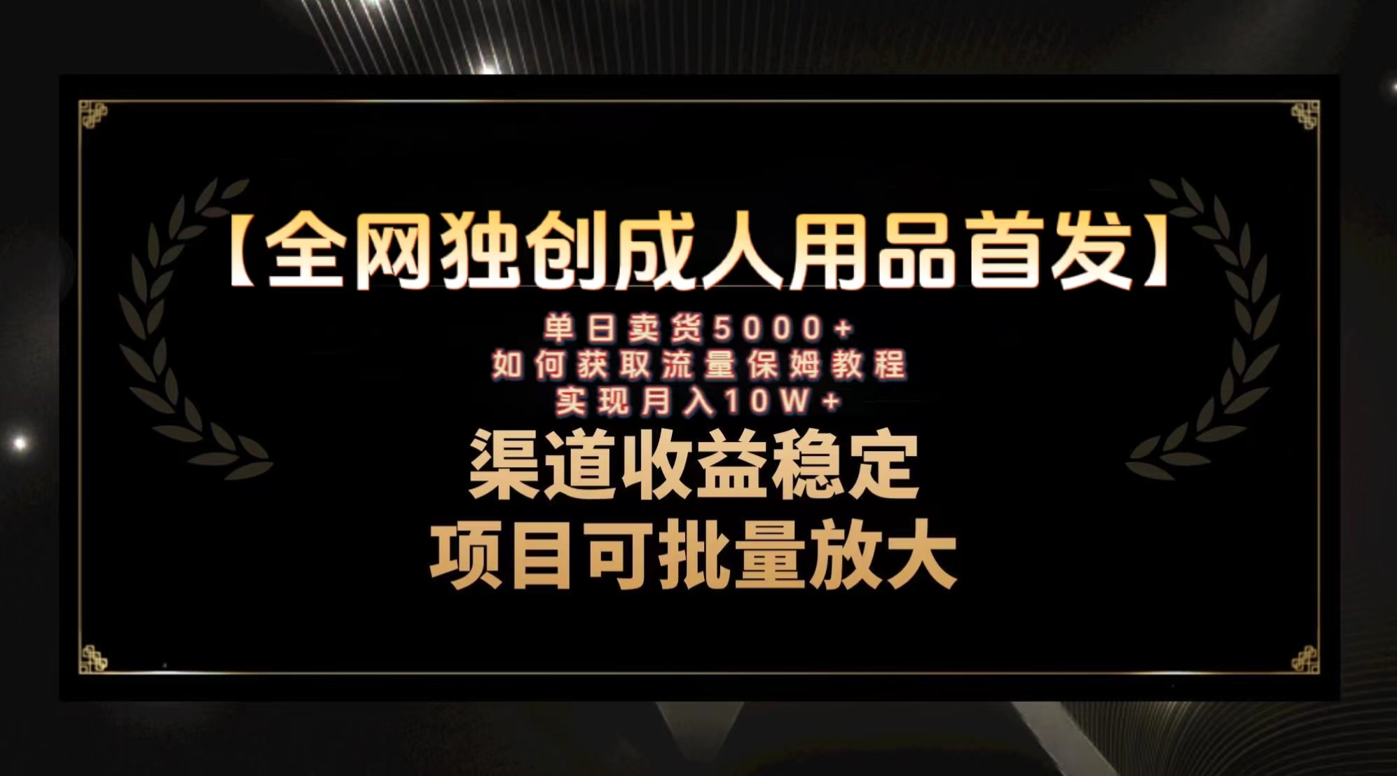 （8128期）最新全网独创首发，成人用品赛道引流获客，月入10w保姆级教程 - 副业心选-副业心选