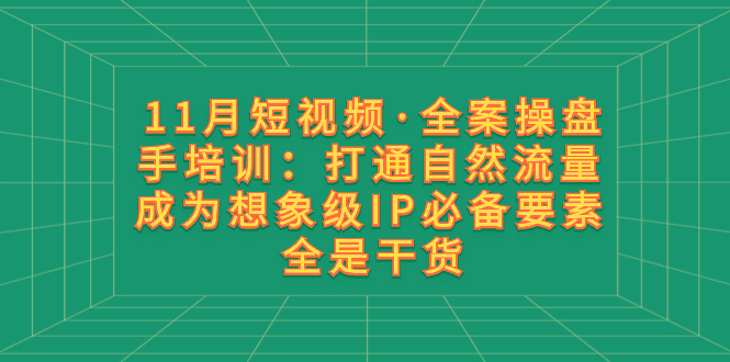 （8182期）11月短视频·全案操盘手培训：打通自然流量 成为想象级IP必备要素 全是干货 - 副业心选-副业心选