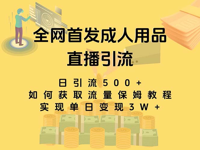 （8193期）最新全网独创首发，成人用品直播引流获客暴力玩法，单日变现3w保姆级教程 - 副业心选-副业心选