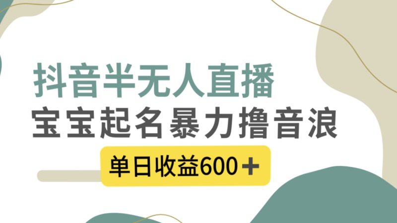（8192期）抖音半无人直播，宝宝起名，暴力撸音浪，单日收益600+-副业心选