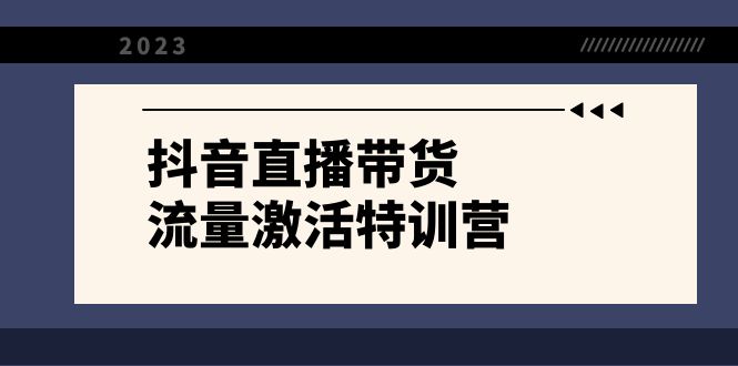 （8185期）抖音直播带货-流量激活特训营，入行新手小白主播必学（21节课+资料） - 副业心选-副业心选