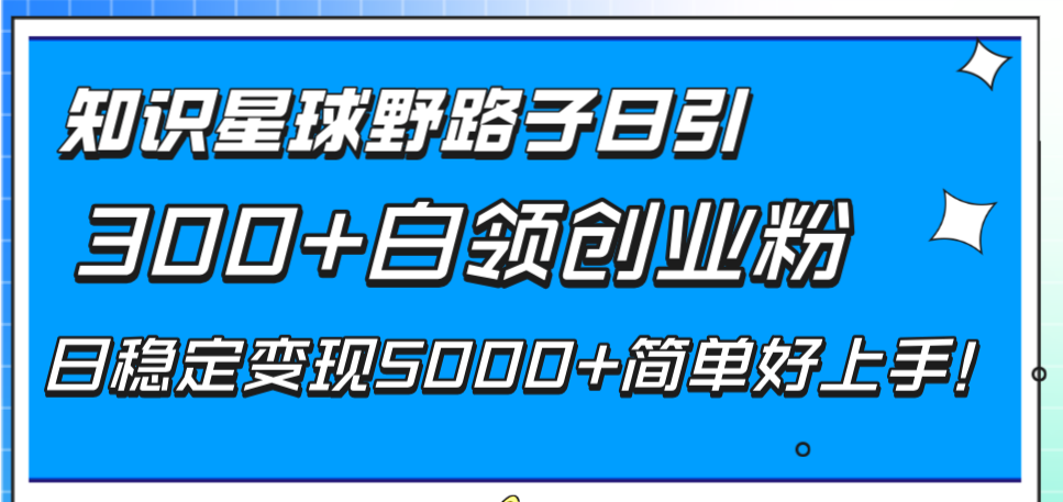 （8315期）知识星球野路子日引300+白领创业粉，日稳定变现5000+简单好上手！ - 副业心选-副业心选