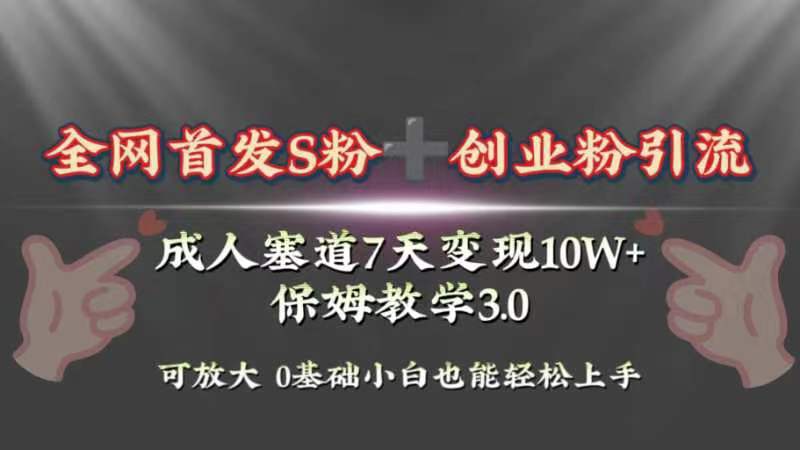 （8337期）全网首发s粉加创业粉引流变现，成人用品赛道7天变现10w+保姆教学3.0-副业心选