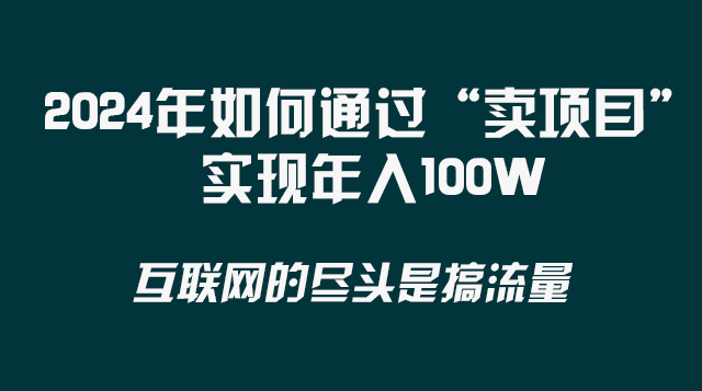 （8382期） 2024年如何通过“卖项目”实现年入100W - 副业心选-副业心选