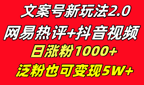 （8484期）文案号新玩法 网易热评+抖音文案 一天涨粉1000+ 多种变现模式 泛粉也可变现 - 副业心选-副业心选