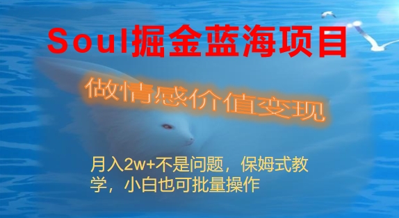 （8531期）Soul掘金蓝海项目细分赛道，做情感价值变现，月入2w+不是问题 - 副业心选-副业心选