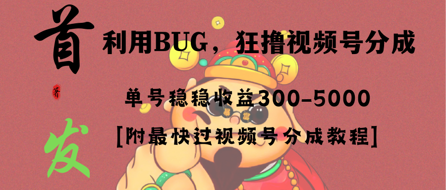 （8549期）全网独家首发，视频号BUG，超短期项目，单号每日净收益300-5000！ - 副业心选-副业心选