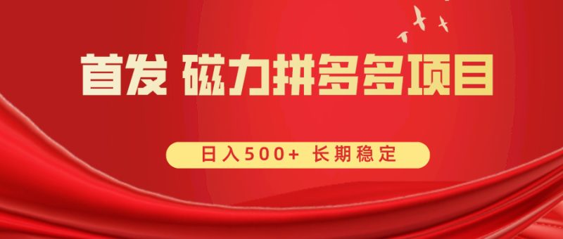 （8611期）首发 磁力拼多多自撸  日入500+-副业心选