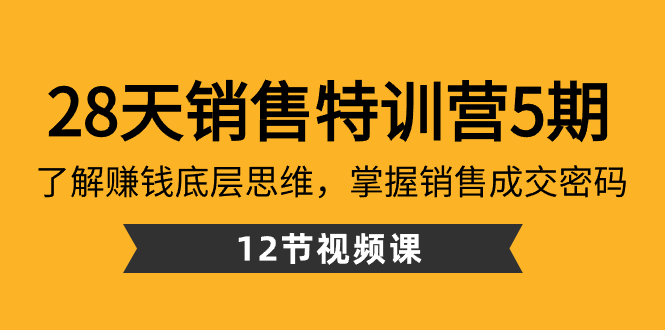 （8659期）28天·销售特训营5期：了解赚钱底层思维，掌握销售成交密码（12节课） - 副业心选-副业心选