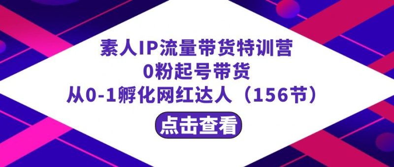 （8776期）繁星·计划素人IP流量带货特训营：0粉起号带货 从0-1孵化网红达人（156节）-副业心选